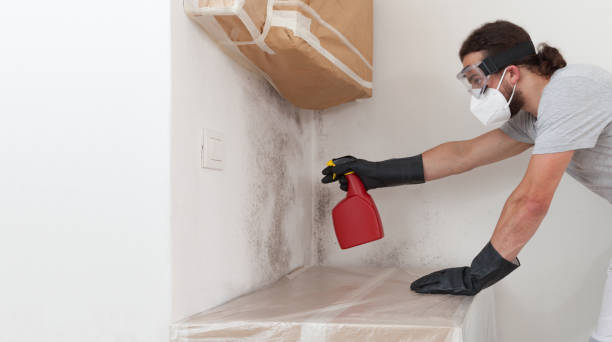 Professional Basement Mold Removal technician working in Fishertown, PA